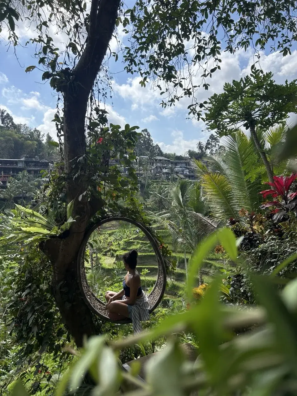 The artist sitting in a round swing among tropical greenery